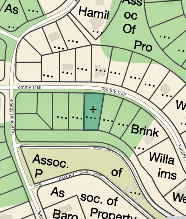 309 Tommy Trail, Coxsackie, NY 12015 - photo 2