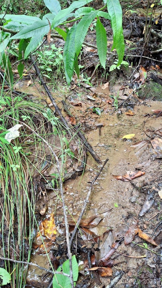 0 Cross Creek Cir, Sylva, NC 28779 - photo 7