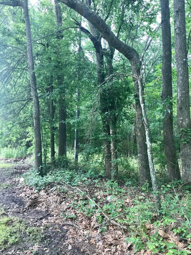 0 Fm 1475 unit 62436, Huntington, TX 75949 - photo 4