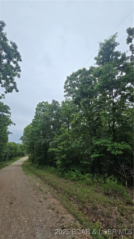 1548 Astrid Loop, Union Township, MO 65326 - photo 5