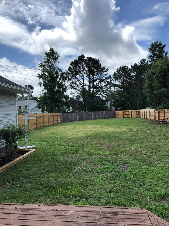 great back yard
