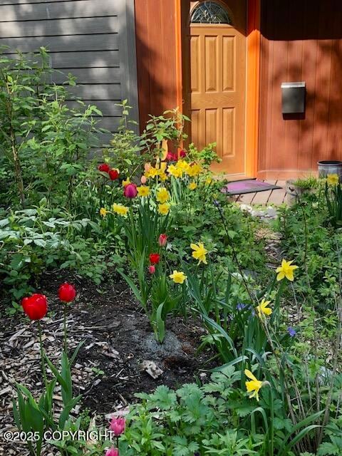 1854 Buccaneer Place unit 2, Anchorage, AK 99501 - photo 3