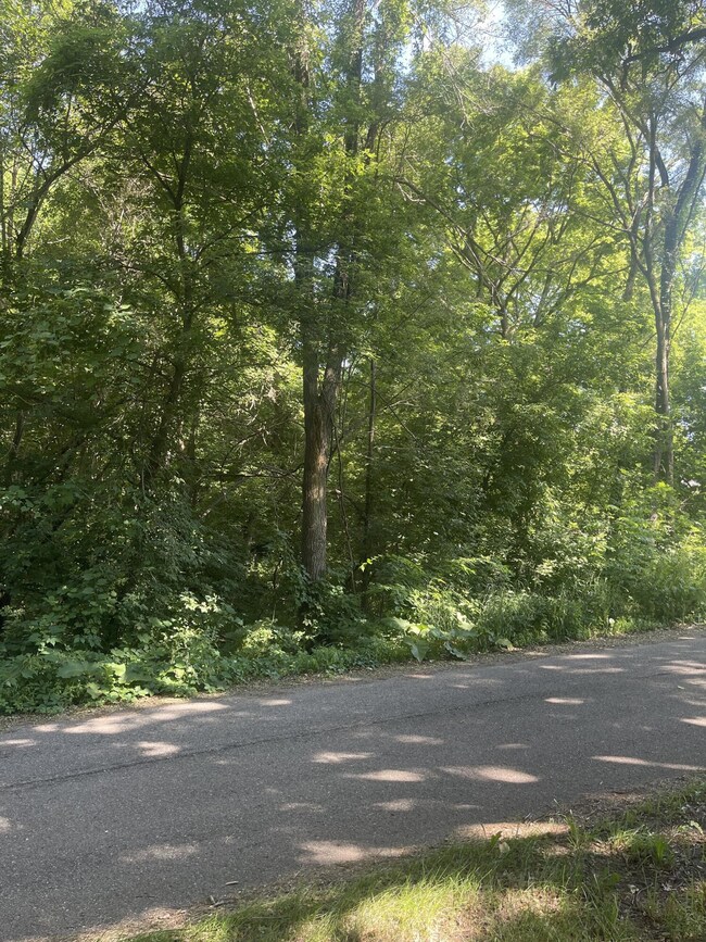 0 Hanover St St, Hubbardston, MI 48845 - photo 2