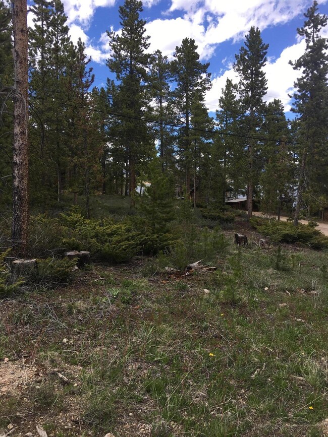 28 Gcr 6120, Granby, CO 80446 - photo 3