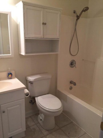 Owner's Bath
