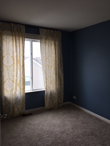 1733 Ruby Dr, Pingree Grove, IL 60140 - photo 4