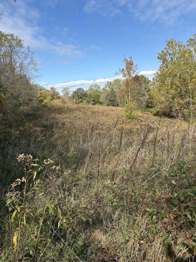 Pine Grove Ch Spur Rd, Vanceburg, KY 41179 - photo 3