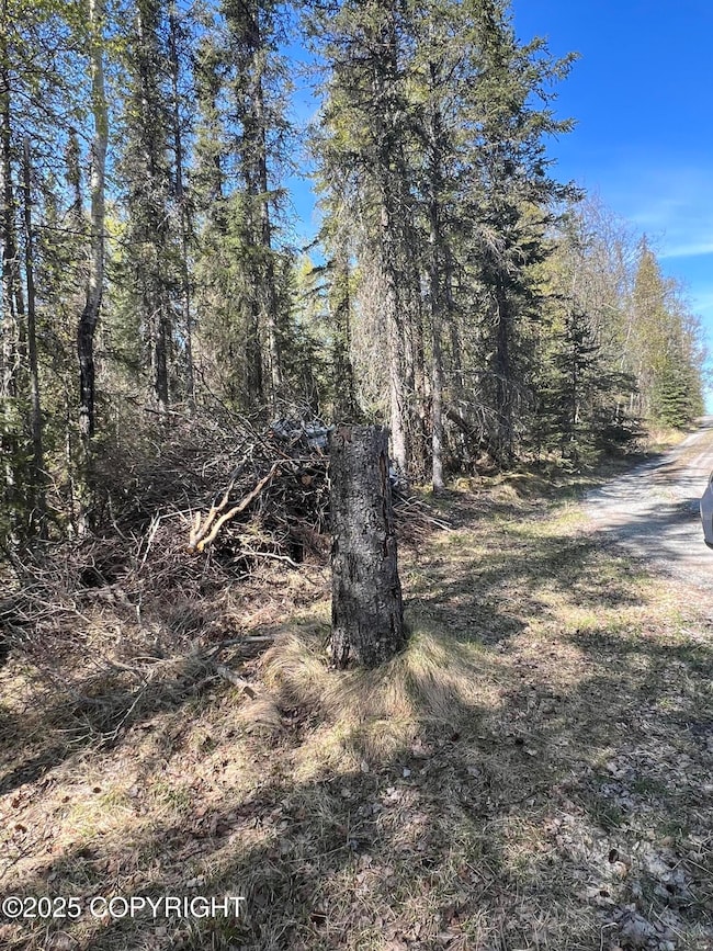 L82 Carlson Rd, Anchorage, AK 99507 - photo 4