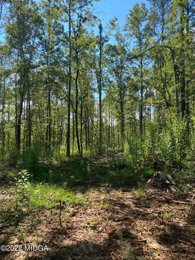 0 Russellville Rd unit M167250, Forsyth, GA 31029 - photo 4