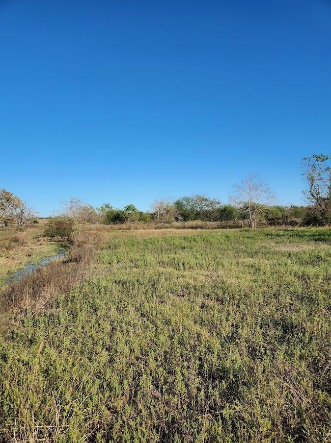 5632 Farm To Market Road 1094, Sealy, TX 77474 - photo 6