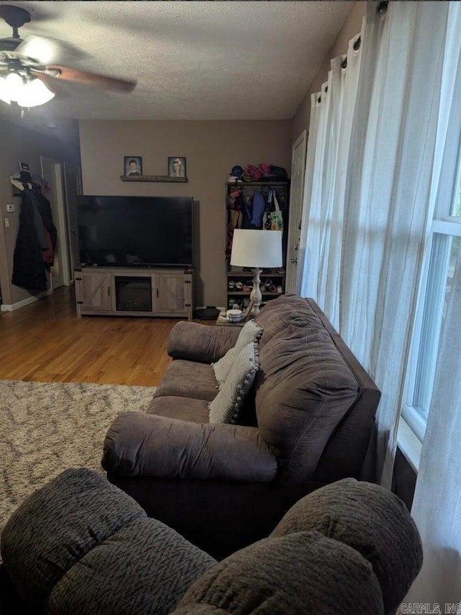 85 Peggy Ave, Mammoth Spring, AR 72554 - photo 6