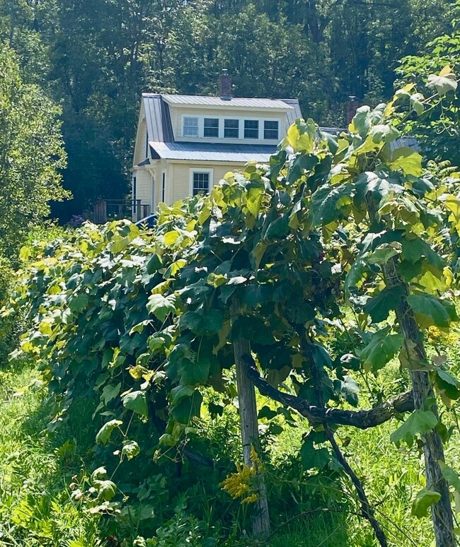 2901 West St, Proctor, VT 05765 - photo 6