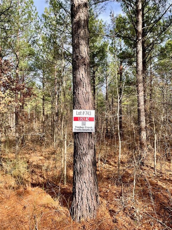 743 Timber Creek Trails South XI, Broken Bow, OK 74728 - photo 2