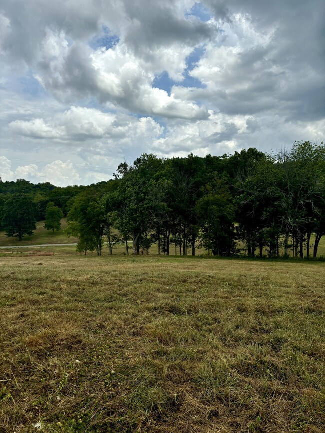 0 Mclaughlin Ln unit RTC2688339, Shelbyville, TN 37160 - photo 3