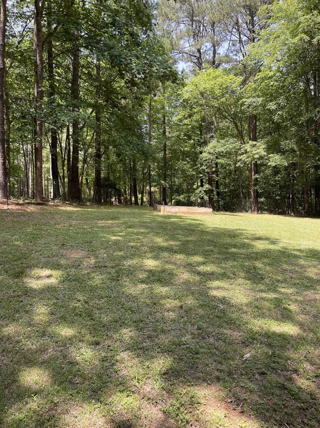 203 Carroll Farm Rd, Pittsboro, NC 27312 - photo 3