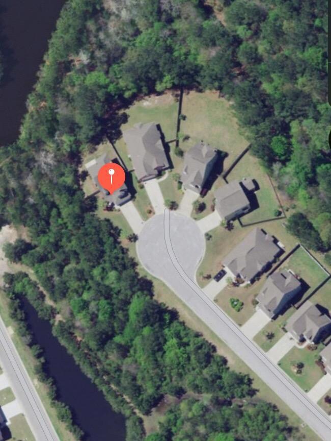Arial View Cypress Walk
