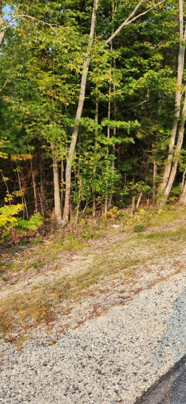 Back Rd