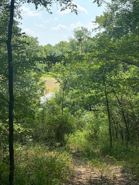 View of local wilderness