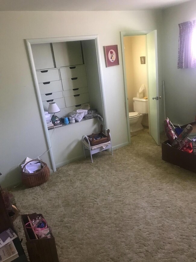 Additional Photo