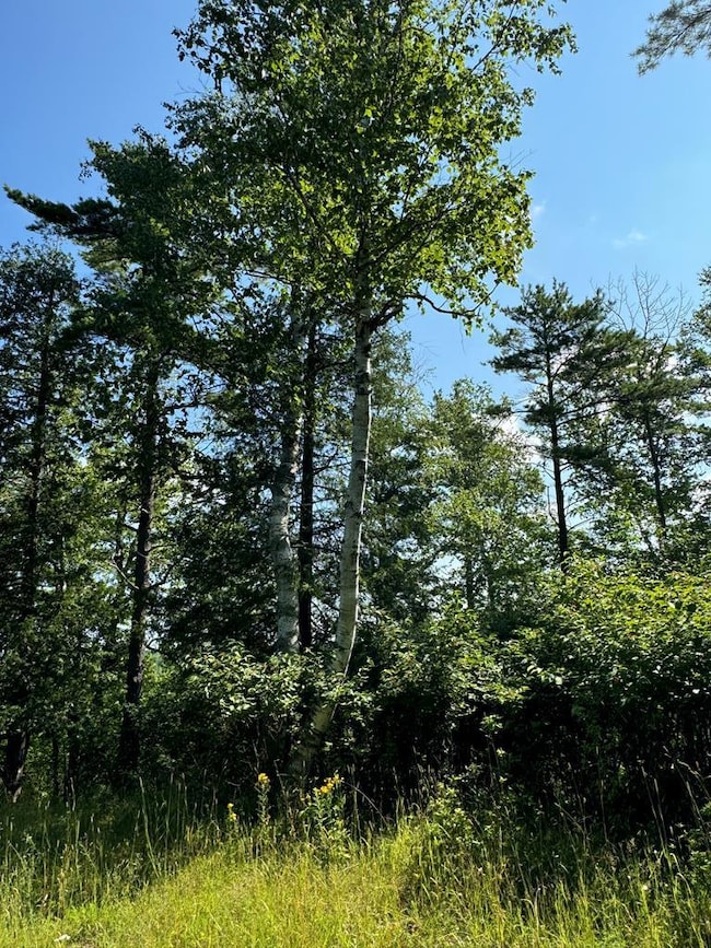 #5 Eagle Ledge Ln, Fish Creek, WI 54212 - photo 2