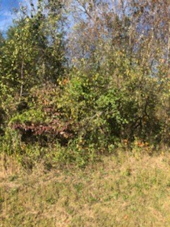 Lot 37 Melanie Dr, Cookeville, TN 38506 - photo 2