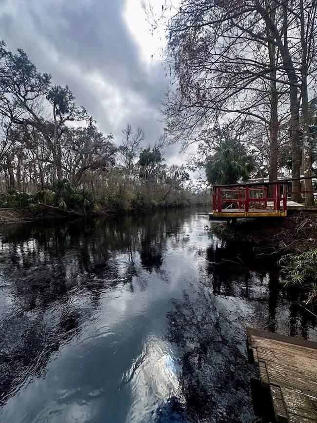 1724 River Rd, Steinhatchee, FL 32359 - photo 3