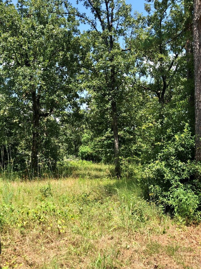 0 Wayland Dr, Lufkin, TX 75904 - photo 3