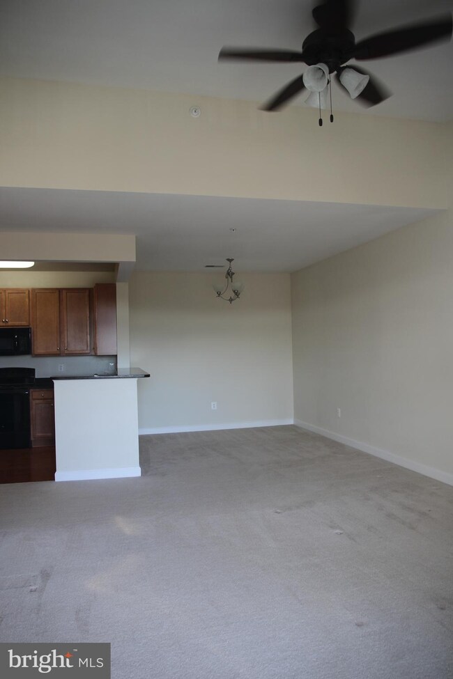 6161 Willow Place unit 302, Bealeton, VA 22712 - photo 3