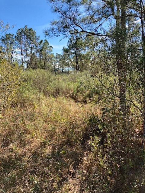 0 County Fair Dr, Hockley, TX 77447 - photo 7