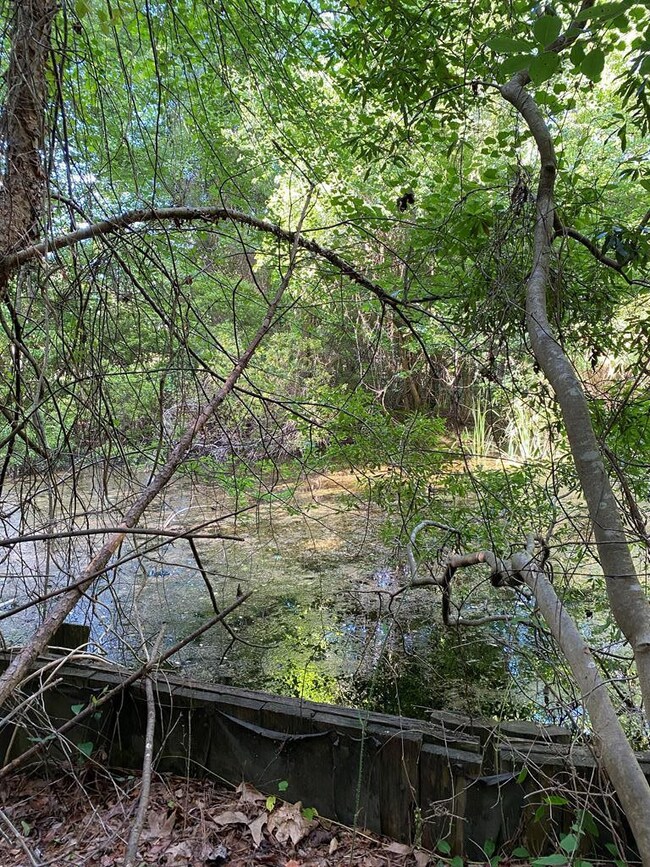 Little Pond