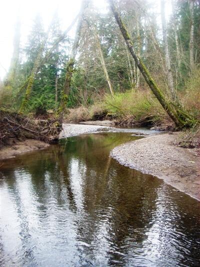 391 307th Ave SE, Enumclaw, WA 98022 - photo 4