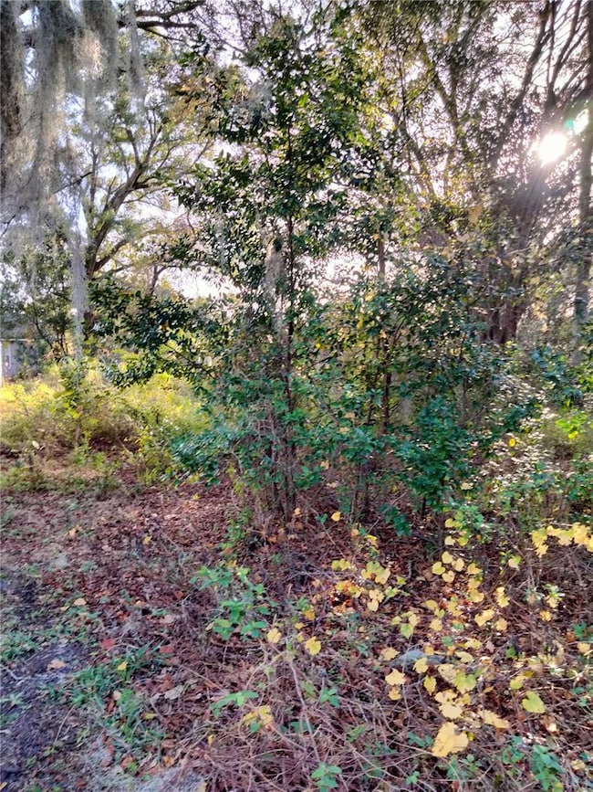 0 Sheeler Oaks Dr unit MFRO6337662, Apopka, FL 32703 - photo 4