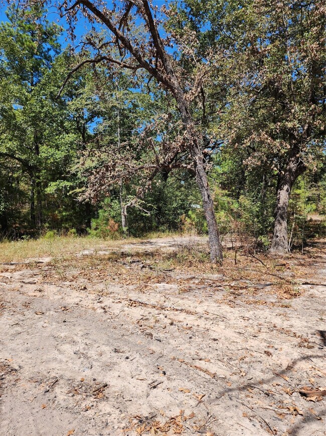 25156 Robin Hood Ct, Hockley, TX 77447 - photo 7