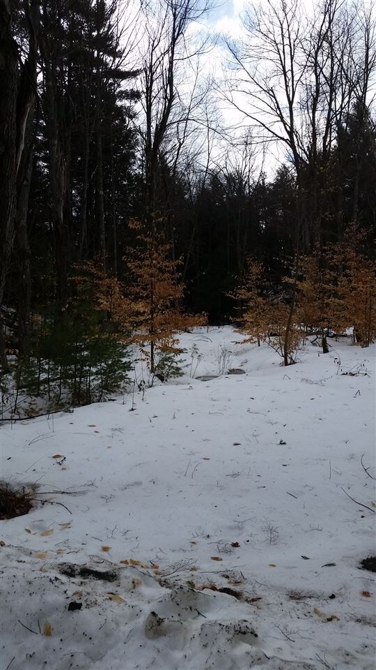 0 Pinnacle Springs Rd, Chesterfield, NH 03443 - photo 4