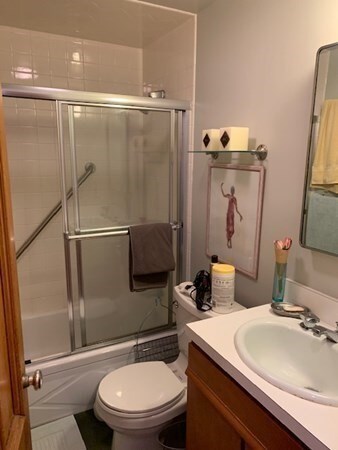 150 W Concord St unit 1, Boston, MA 02118 - photo 7