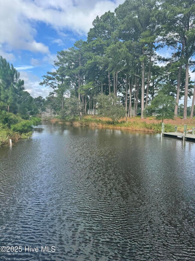 563 Creek Place Rd, Arapahoe, NC 28510 - photo 5