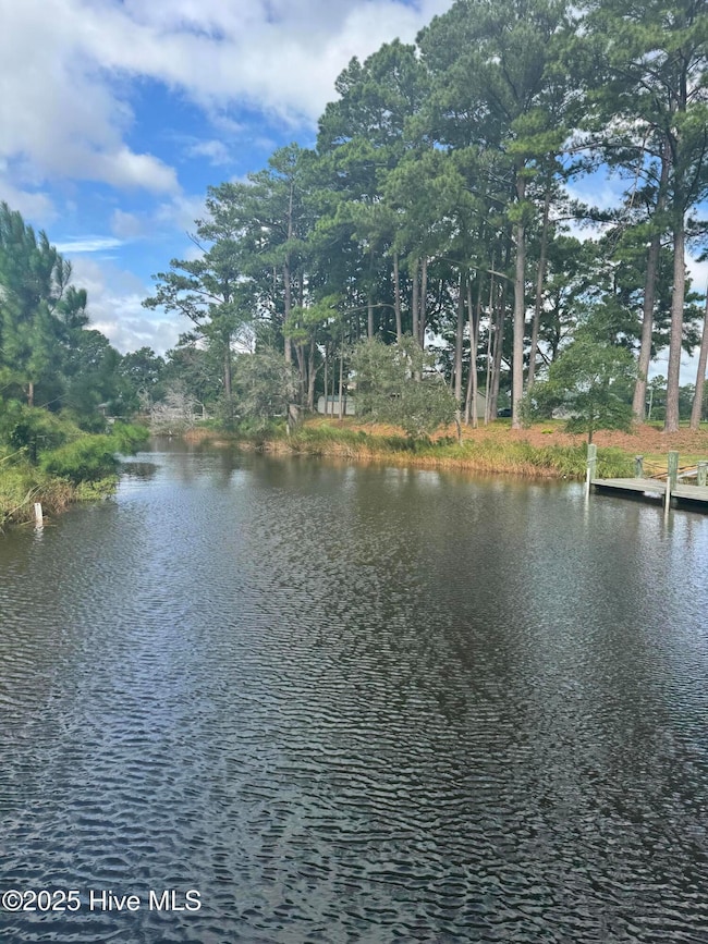 563 Creek Place Rd, Arapahoe, NC 28510 - photo 6