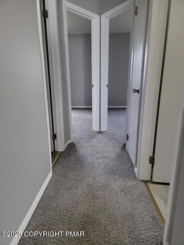 139 Snowshoe Ct unit 201, Mount Pocono, PA 18344 - photo 6