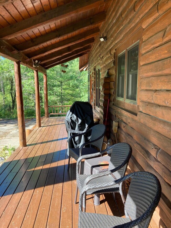 10522 S Touhi Trail, Baldwin, MI 49304 - photo 3