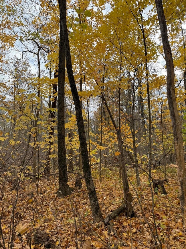 0 Vl Cr 653, Gobles, MI 49055 - photo 6