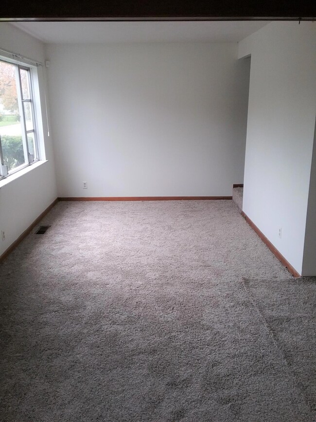 3338 Petzinger Living room new carpet