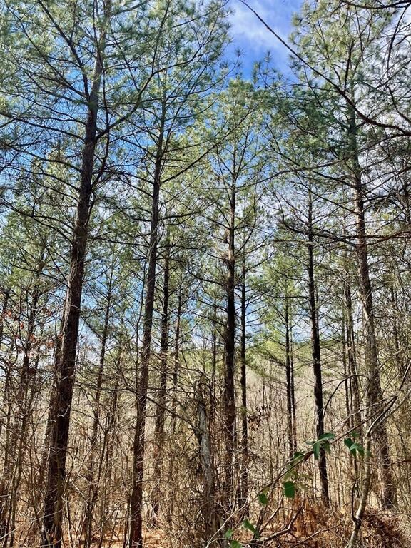 764 Timber Creek Trails South XI, Broken Bow, OK 74728 - photo 7