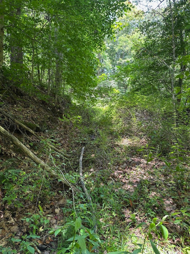 0 Bryant Hollow Rd unit 25-830, Eastern, WV 24910 - photo 5