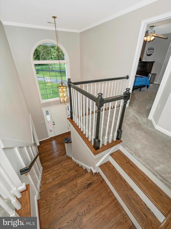 23504 Rolling Fork Way, Gaithersburg, MD 20882 - photo 4