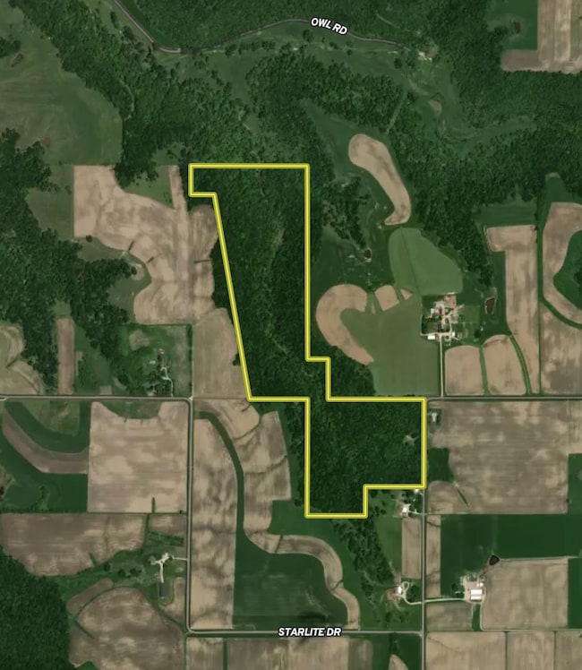 Screenshot 2025-08-05 at 1.15.54 PM.png