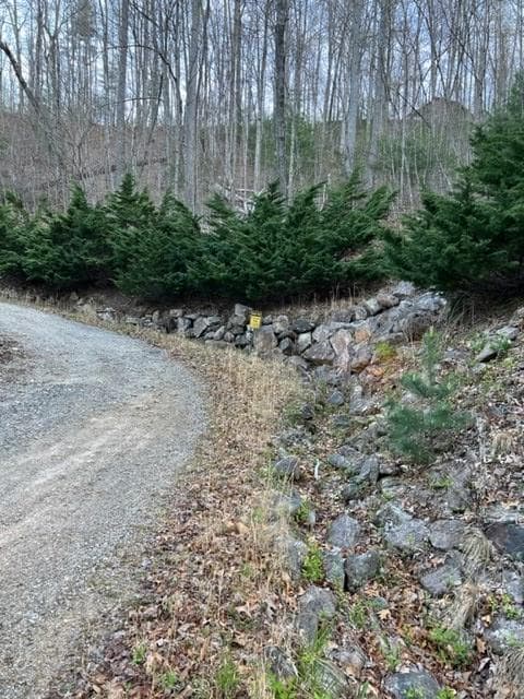 00 Glennview Ln, Franklin, NC 28734 - photo 3