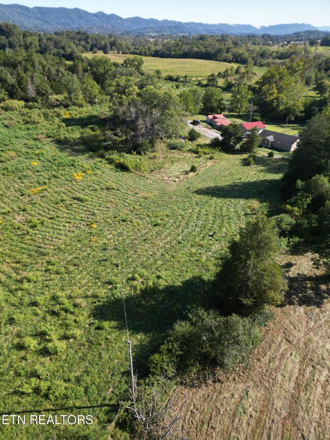 317 Singleton Hollow Rd unit lot 1, Speedwell, TN 37870 - photo 4