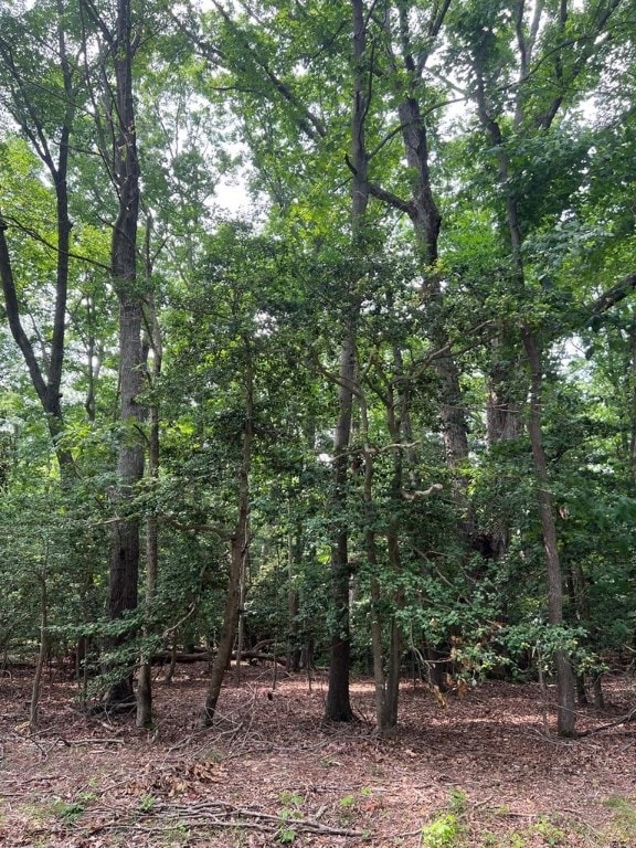 Lot 2 Wittstat Ln, Heathsville, VA 22473 - photo 3