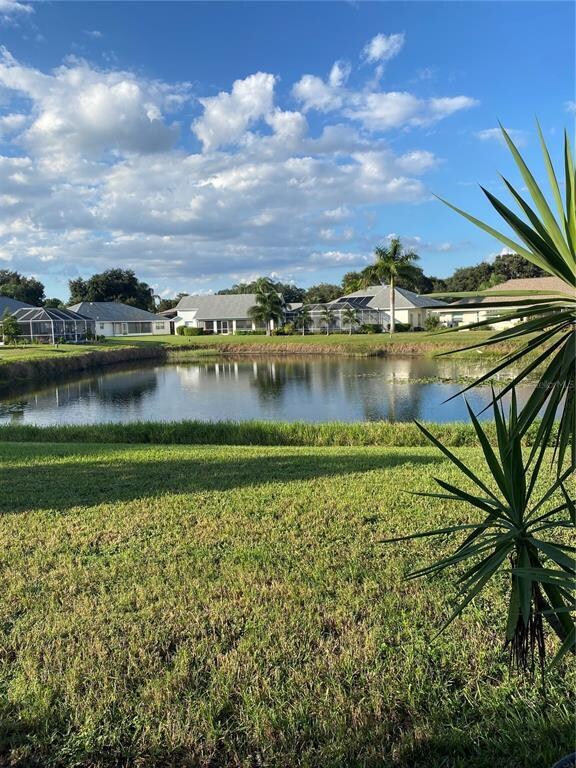 View from back patio