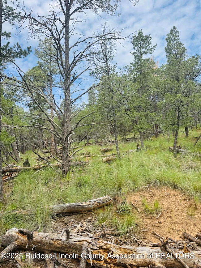 - Johnnys Dr, Timberon, NM 88350 - photo 4